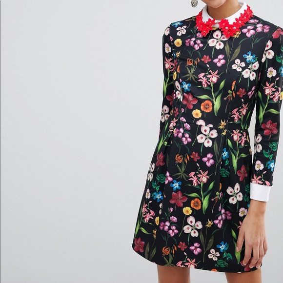 Ted Baker London Dresses & Skirts - TED BAKER HAMPTON COLLAR DRESS NEW WITH TAGS